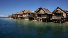 Solomon Islands 02